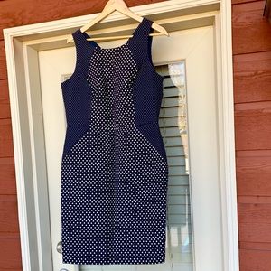 NWT Banana Republic Polka Dot dress